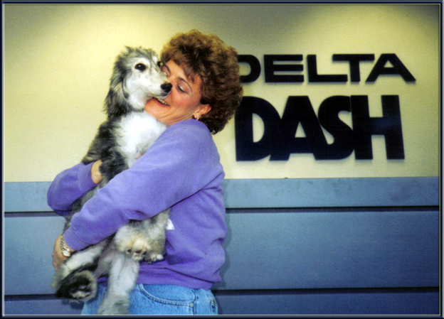 Delta dash pet store